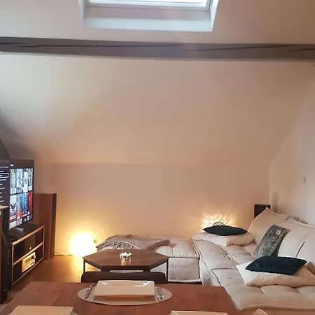 Hébergement de vacances Nature, Charme, Confort, Avec Netflix Et Ps4 Lutzelbourg