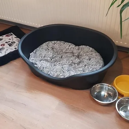 Nature, Charme, Confort, Avec Netflix Et Ps4 * Lutzelbourg